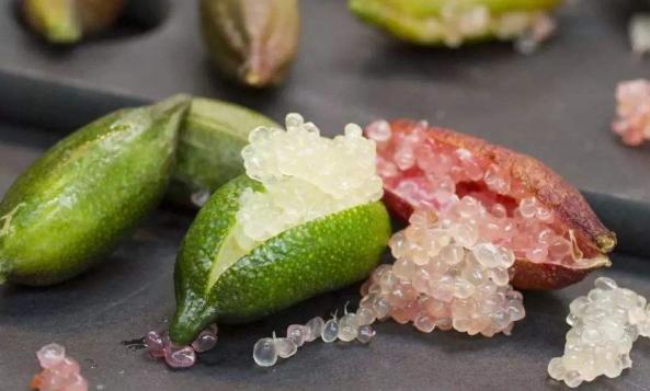 澳洲指橙有好吃的品种吗,澳洲指橙哪个品种好吃