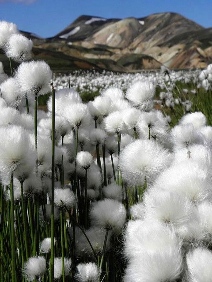 阳光乐观正能量的说说,励志语录经典感悟人生说说