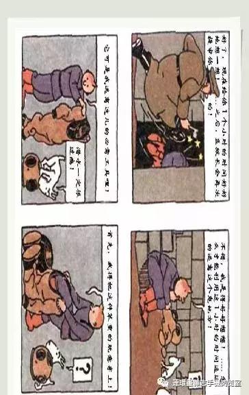 丁丁和丁丁历险记论文,丁丁历险记丁丁的服装