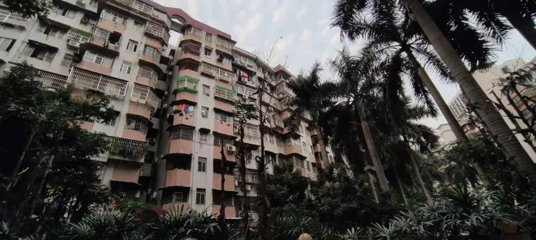 东晓南板块怎么样,东晓南地铁上盖楼盘