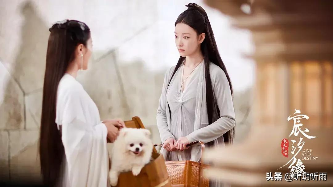 宸汐缘哪一个人让你付出了一生,宸汐缘花烟历劫