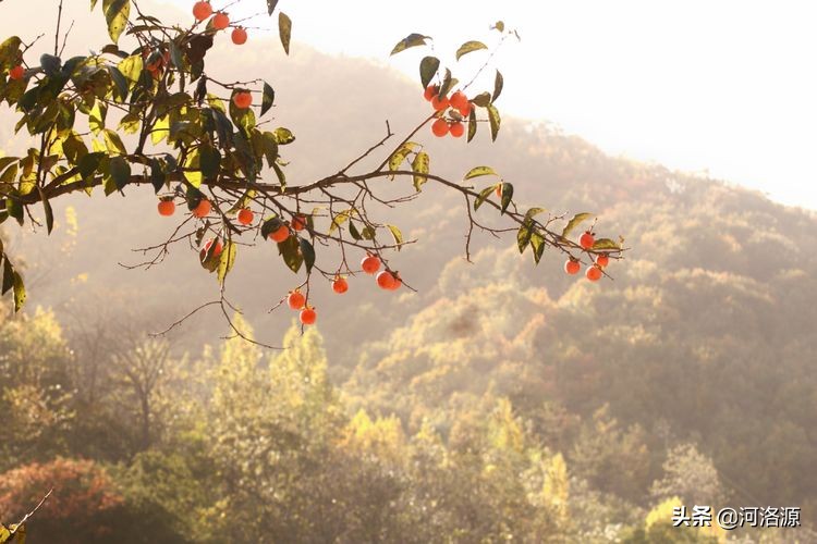 巩义最美乡村,巩义最美乡村游玩好去处