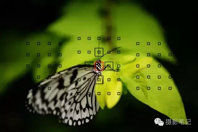 对焦最好的6种方法,视频对焦4分钟学会30种对焦策略