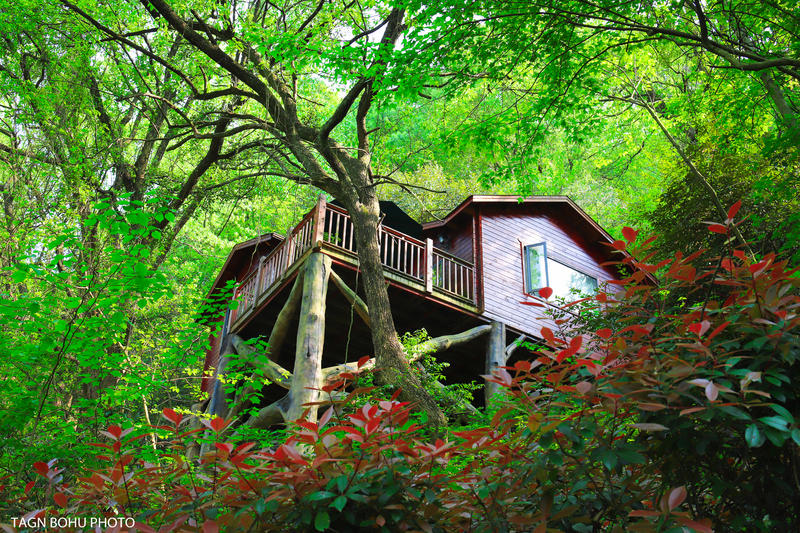 衢州常山春日旅游攻略,常山小众景点