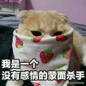 狙击行动代号猎鹰弗拉德特别行动,狙神行动代号猎鹰