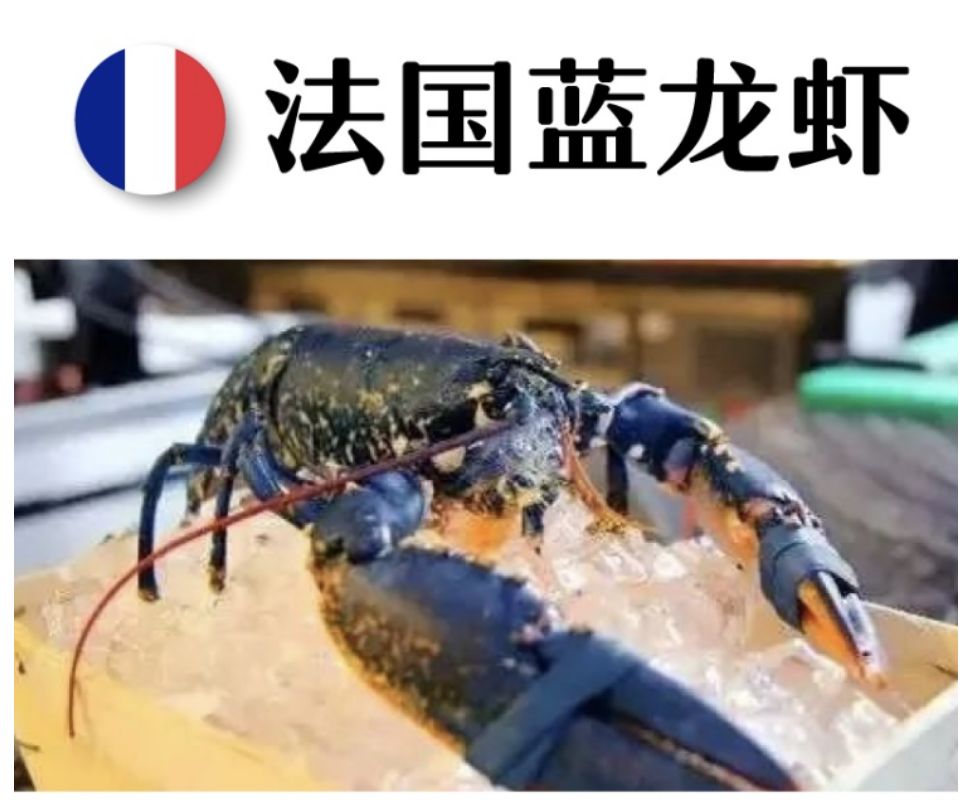 长春生鲜冷链配送,长春蔬果生鲜配送新鲜直达