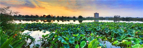 昆明杨林校区最新消息,昆明公交更新