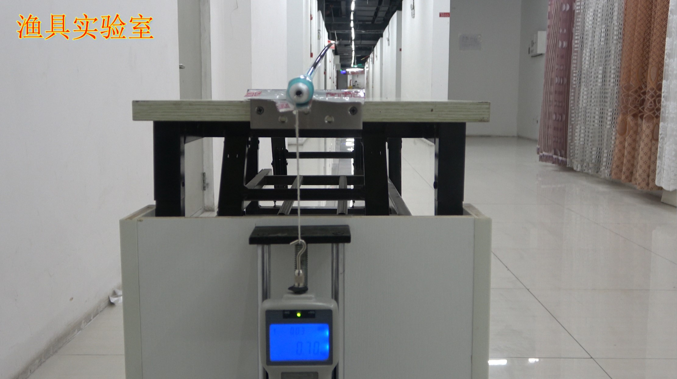 化氏湛卢鲫6.3块捡漏靠谱吗,化氏湛卢鲫价格