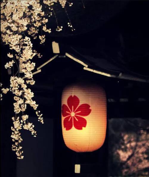 栀子花开,栀子花开歌曲完整版