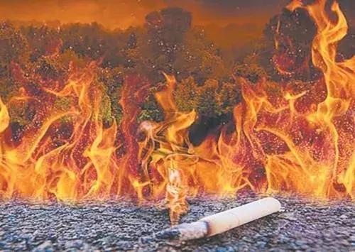 小东西，大隐患！这些火灾因它而起……