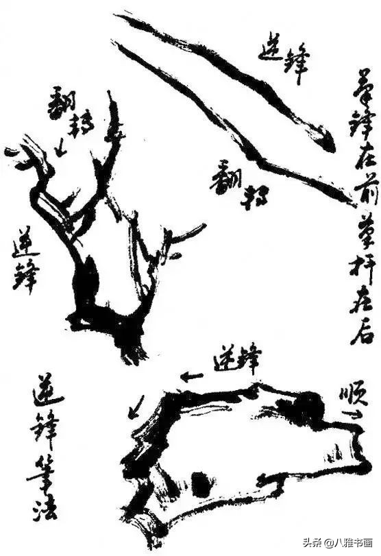 小写意花鸟画笔法,小写意花鸟画笔墨技法与创作