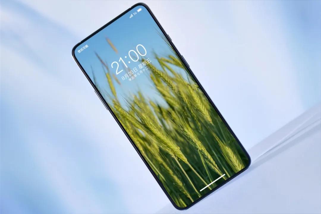 文艺素雅治愈植物手机壁纸,唯美治愈系手机壁纸植物