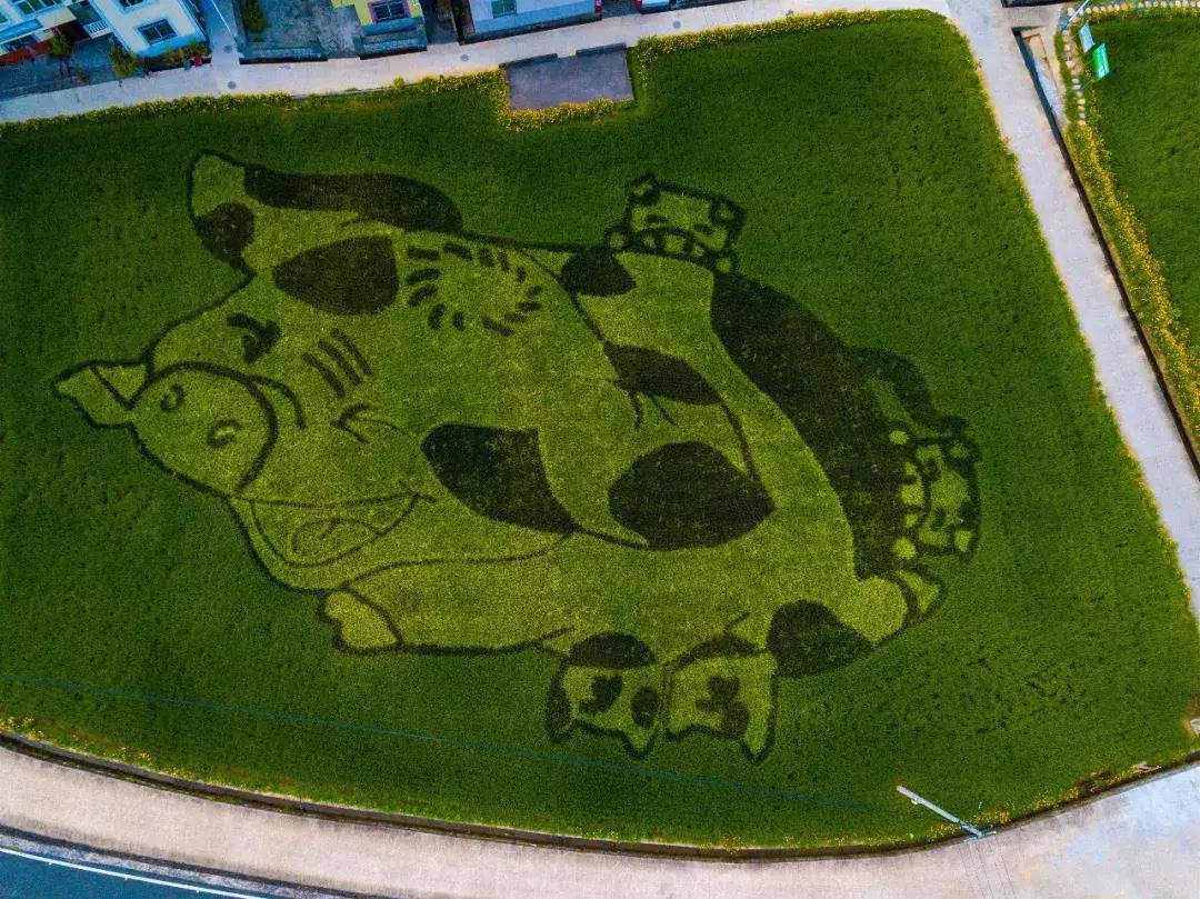 钱塘江大潮图画,钱塘江大潮的壮观景象手绘