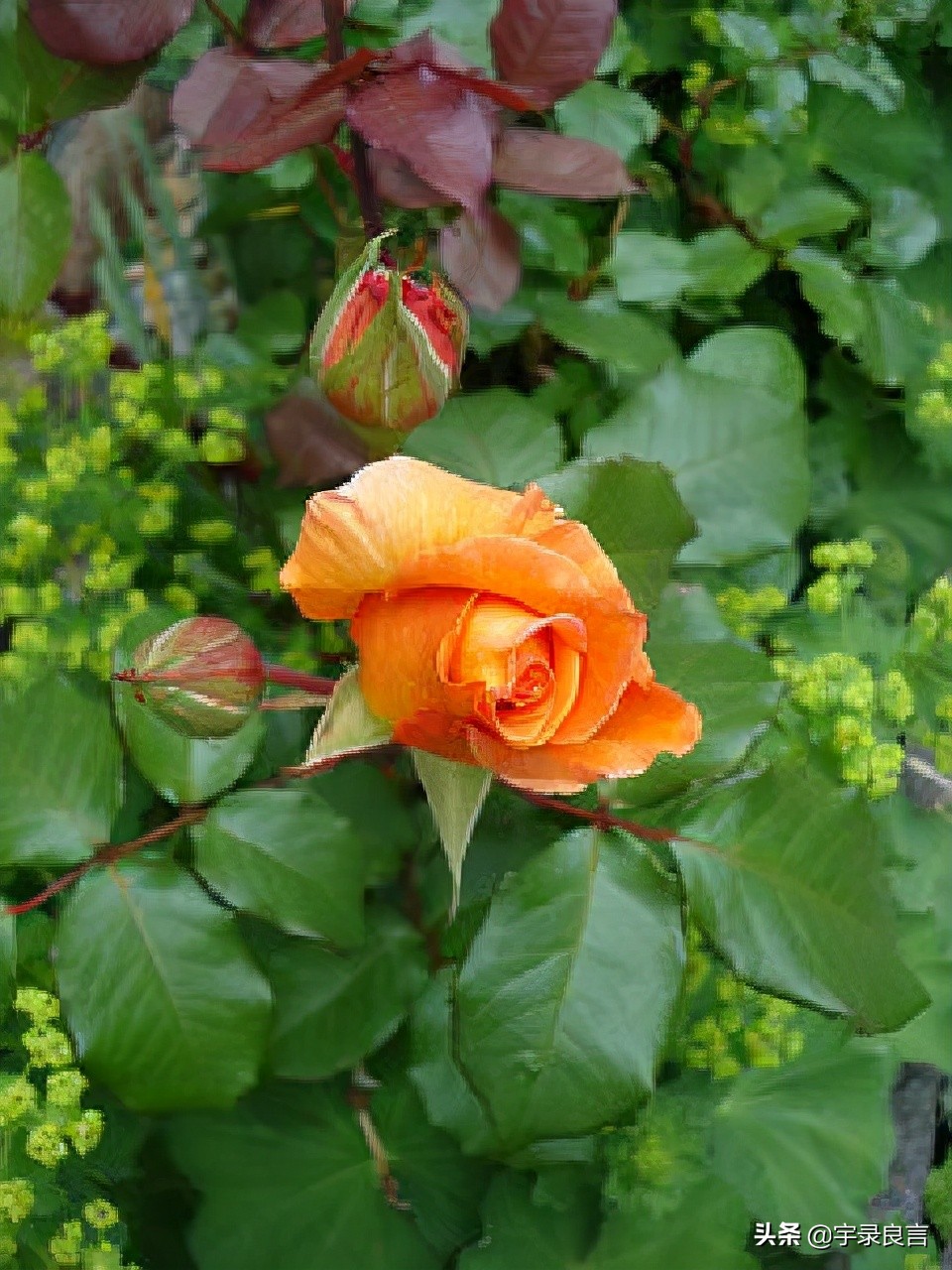 哲理短句精辟入骨,15条精辟入骨的句子