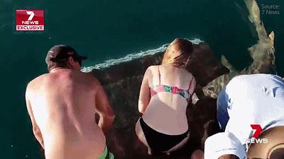 在海里遇到鲨鱼怎么才可以逃生,在海里碰到鲨鱼怎么办