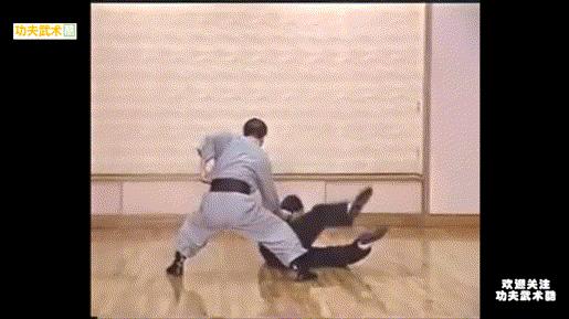 八极拳招式分解教学视频,八极拳动画8个绝招