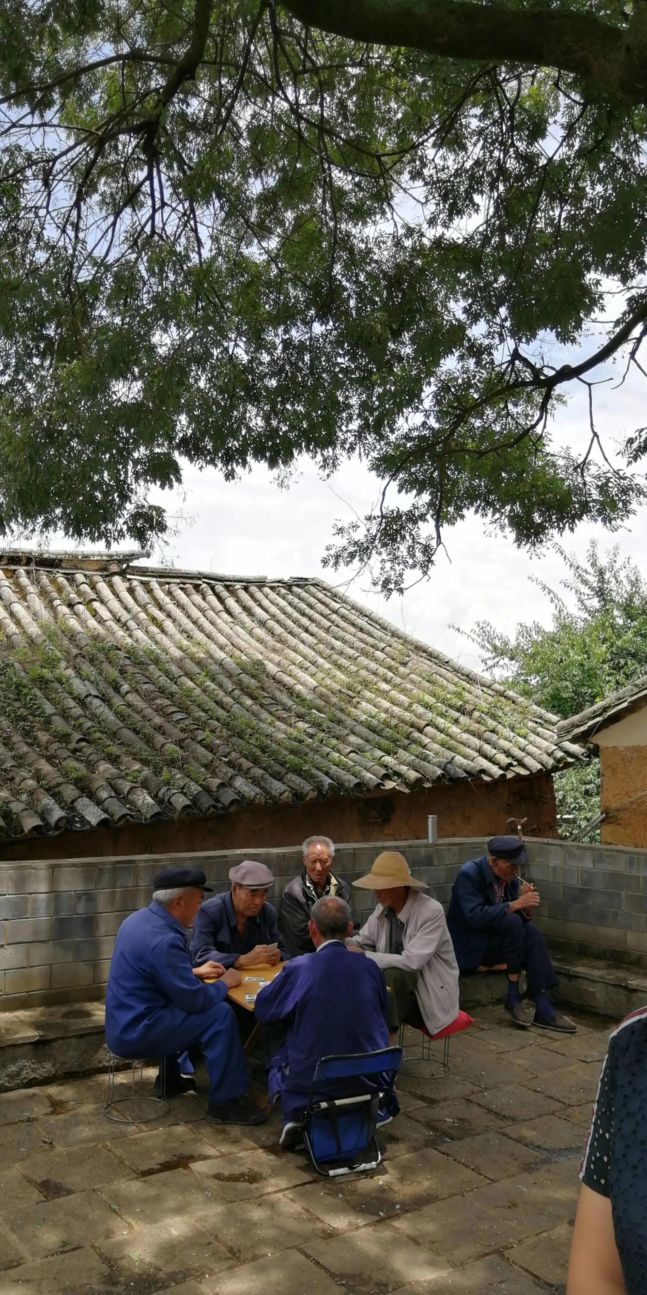 一家三口的田园生活,一家三口在大理的田园边租房15年