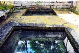 桂林灌阳月岭古民居,灌阳月岭古民居赏花