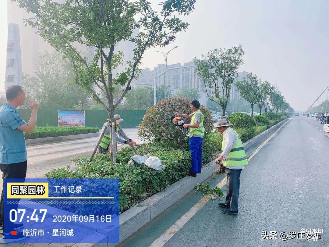 罗庄新闻决战创城,罗庄最新创城新闻