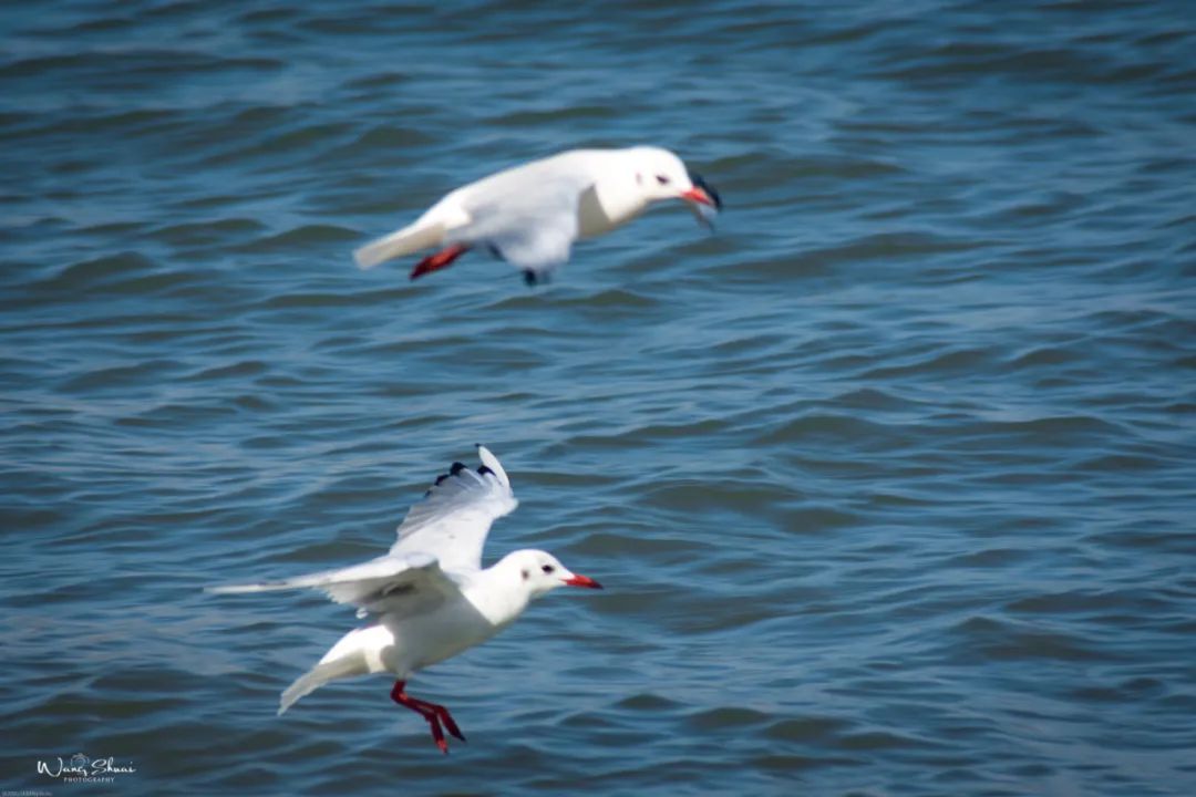 10个全球看海好地方推荐,谁说北方人看不到大海