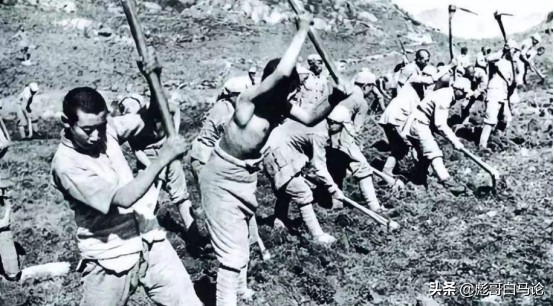 华为板块最新消息,华为南泥湾最新官方消息