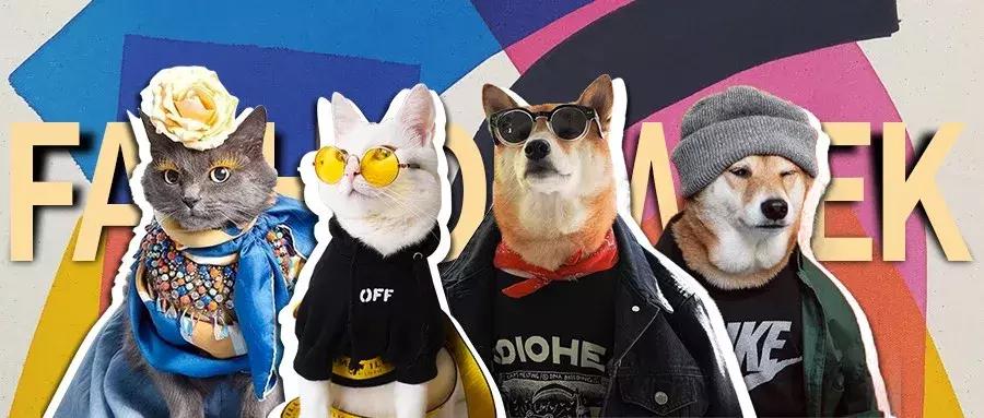 gucci和supreme联名马丁靴,guccisupreme鞋子