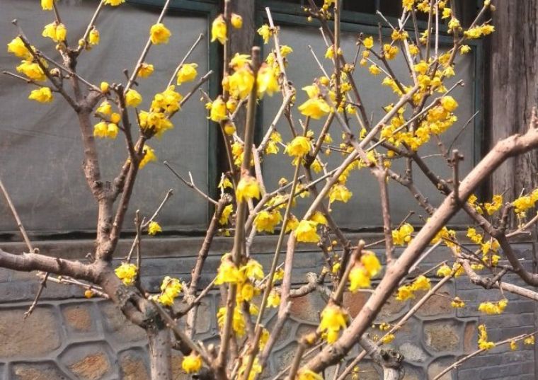 春节三天两晚自由行,假期轻松愉悦的玩耍