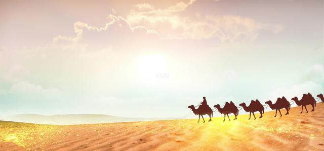 被誉为“沙漠之舟”的骆驼,仙人掌、断肠草都是它的食物