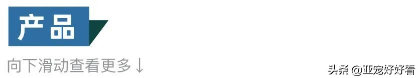 亚宠云课堂,比熊犬赛级妆造型