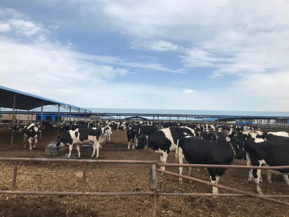 为什么一家银行要发射卫星？