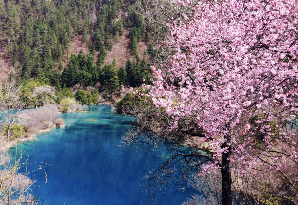 重庆可以直达九寨沟吗,重庆去九寨沟交通方式