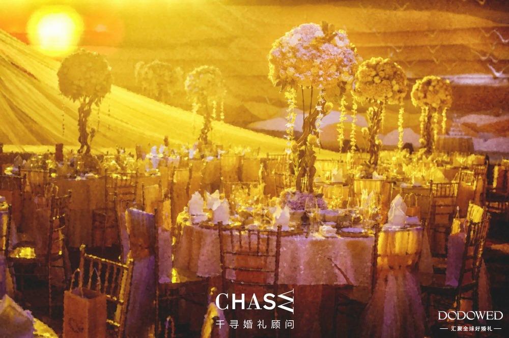 dodowed婚礼官网,dodowed婚礼案例