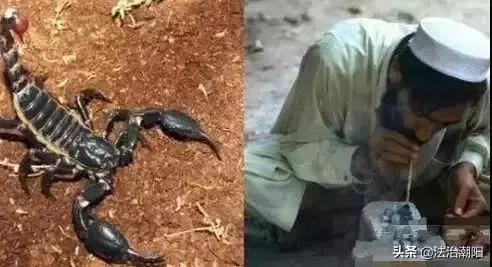 蝎子烟是什么毒,吸蝎子烟有毒吗