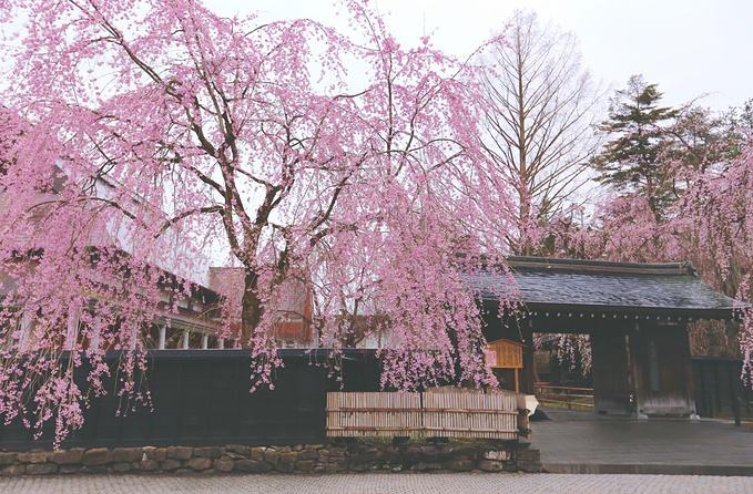 塑料母女深度解锁日本东北秋田县山形县