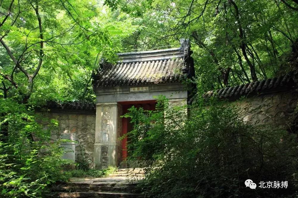 北京国家森林公园风景,画说北京故事