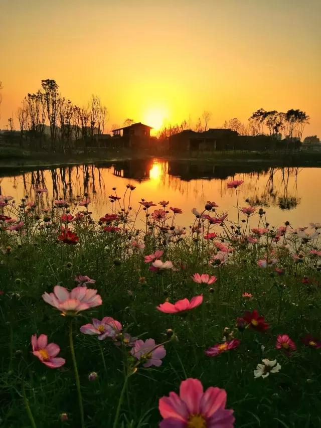 离杭17min，意大利设计师做了一个“最中国”的庄园，媲美安缦