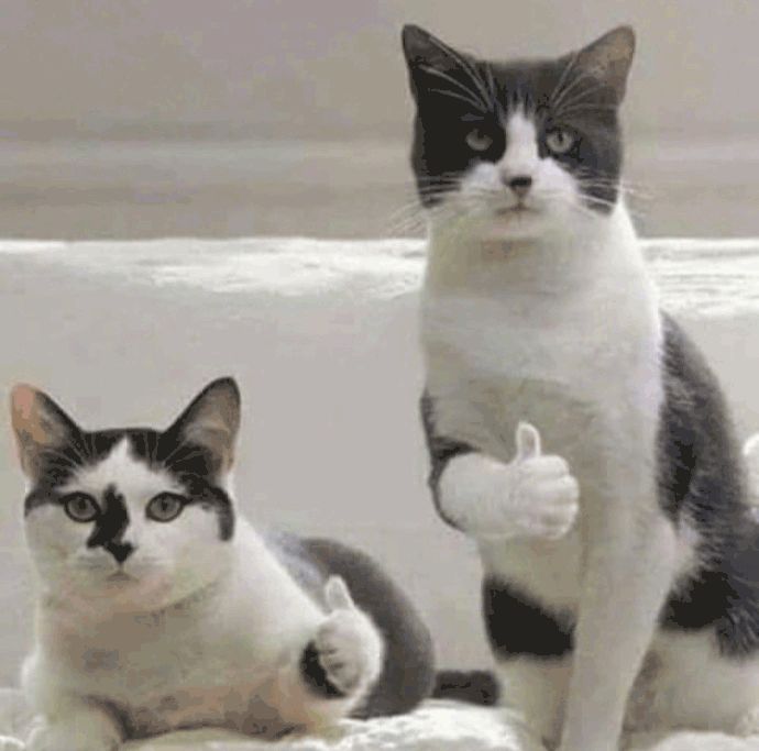 这个夏天值得入手的防晒喷雾,平价又好用的防晒推荐