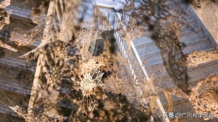 考上湖大是什么水平,考上湖美一年花多少