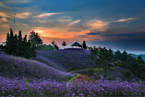 石柱康养大会,康养产业博览会石柱