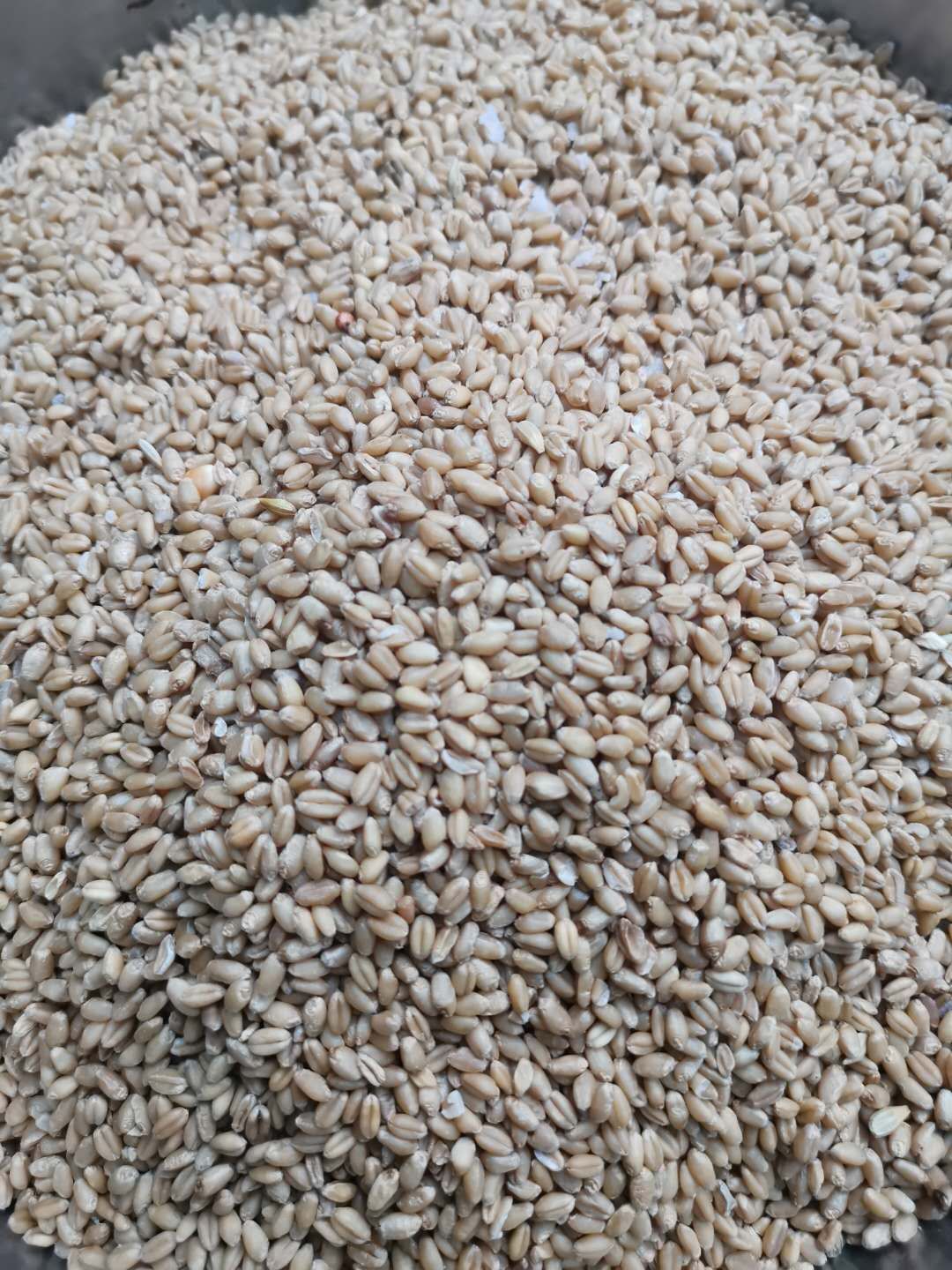 自制甜米酱,甜麦酱的制作方法