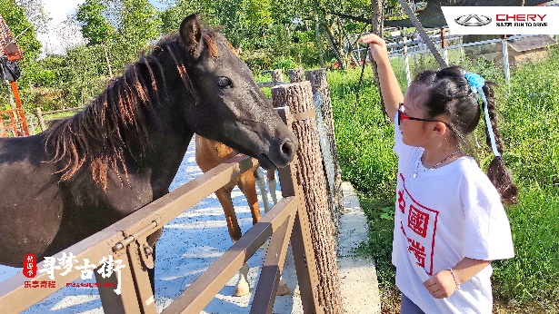 奇瑞车友会亲子夏令营活动精彩不断，FUN嗨无限。