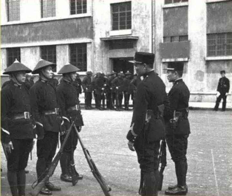 智破窃贼案最新进展,智破奇案合辑在线播放