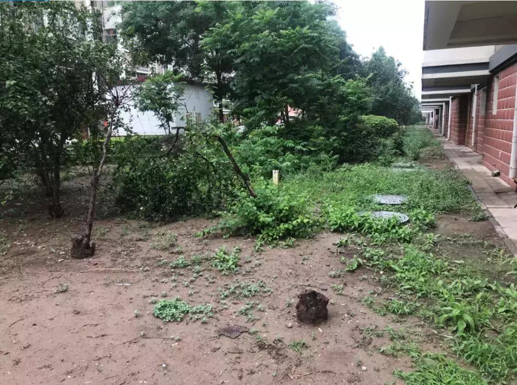 新划进光明中学的这个老小区，位置真好！还不贵