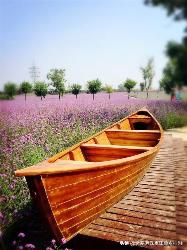 天津紫云水岸香草园在哪,天津市蓟州区紫云水岸草园