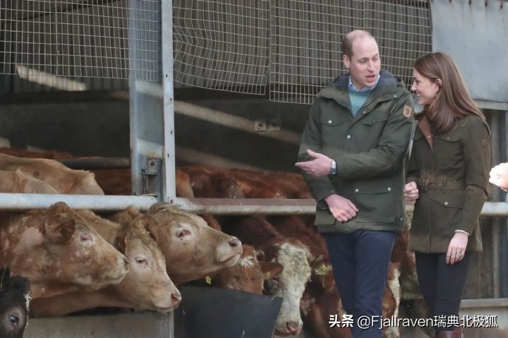 冲锋衣哪个比较适合年轻人穿,哪款冲锋衣比较好穿