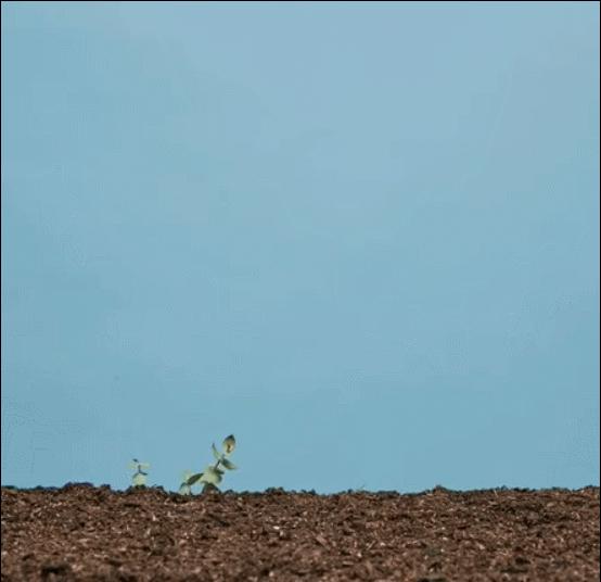 阿迪最火爆的网红鞋,耐克阿迪为什么是潮鞋