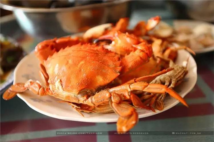 吃海鲜要去哪里旅游,威海旅游吃海鲜攻略视频