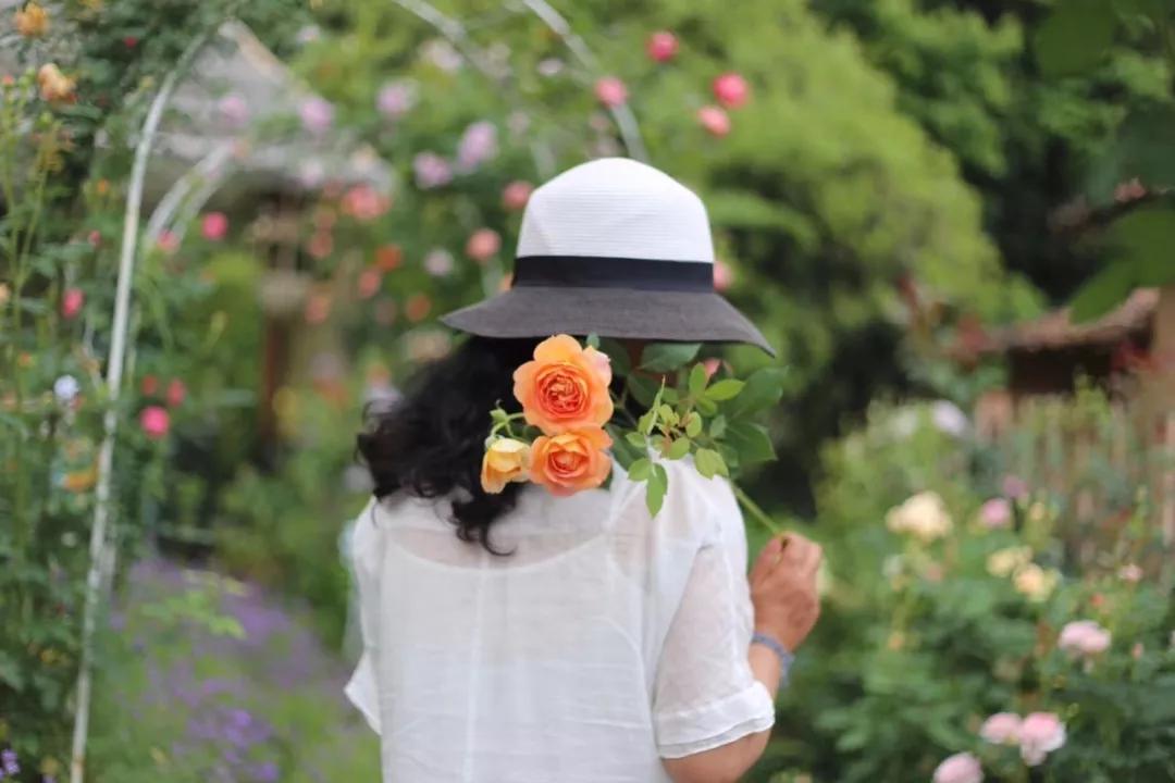 睡进云端，手触星辰，来遂昌过几天诗意的山居生活！