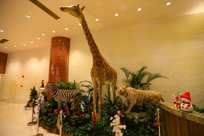 玩转珠海酒店,玩转珠海长隆全攻略