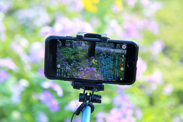 春游江淮请你来滁州版,春游江淮等您来